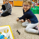 IMG_20250115_073726
