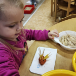 IMG_20241118_081533