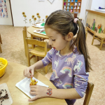 IMG_20241118_082402